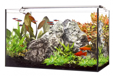 aquarium-led-lampe-6w_6